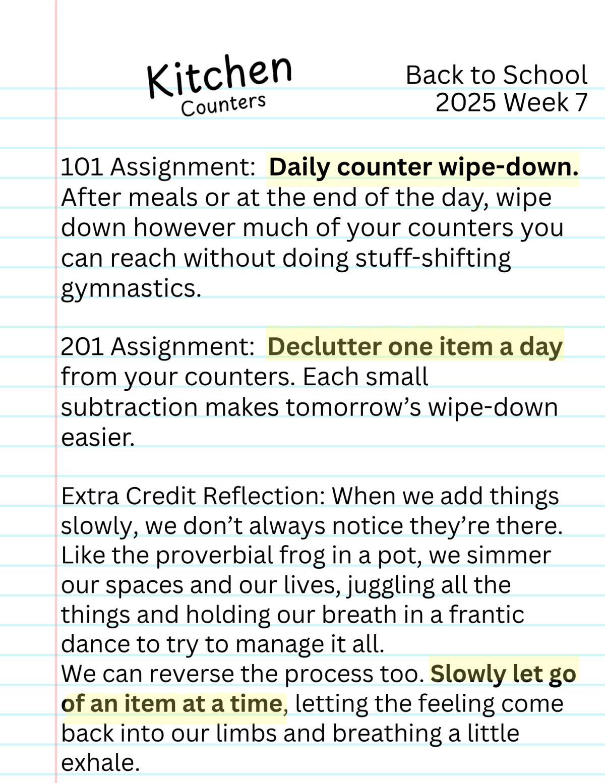 BTS Week 7: Kitchen&nbsp;Counters